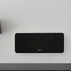 Wall Speaker